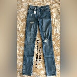 DENIM FORUM | Aritzia Lola High-Rise Skinny | 26W 29L
